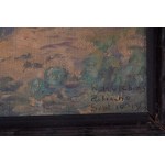 Lot of three paintings: mountain landscape oil on board front and back, signed and dated 1920 28 x 22 cm; mountain landscape oil on cardboard signed and dated 1919 15.5 x 26 cm; winter landscape oil on cardboard signed 9 x 14 cm Condition: good, minimal d