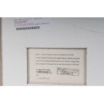 That&#39;s the way.... multiple on paper 86 x 86 cm in frame, unknown provenance. With dry stamp label on the back with signature and date 12/07/12 State of preservation: excellent, That&#39;s the way.... multiple on paper 86 x 86 cm in frame, unknown pro