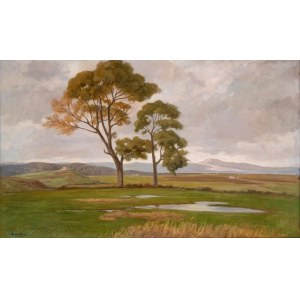 After the rain Oil on canvas 100 x 167 cm Signed lower left: E. Ortolani. On the back a label from the Mostra Antologica di Pittura, After the rain Oil on canvas 100 x 167 cm Signed lower left: E. Ortolani. On the back a label from the Mostra Antologica d
