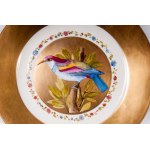 Lot of six knife plates diameter 24.6 x 2.6 cm in polychrome porcelain with a golden brim and blue trim. Wide white-bottomed hollow with a reproduction of a bird within a golden reserve. Ring-shaped back on a lowered background with a blue manufacturing s