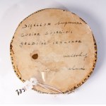 Curial seal 18th century diameter 10 cm in ceramic. State of preservation: very good., Curial seal 18th century diameter 10 cm in ceramic. State of preservation: very good.