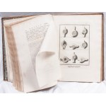 The lamps and candelabra of Herculaneum single volume royal printing house of Naples 1792. Bound in leather with gold trim Condition: minimal stains and smudges on the pages, spine and covers with wear and tear as seen over time, The lamps and candelabra 