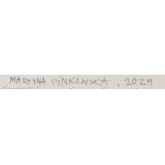 Martyna Pinkowska (ur. 1997), Stabilność ukrycia, 2024