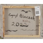 Cyryl Polaczek (ur. 1989, Zielona Góra), Nocka