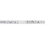 Michał Jankowski (ur. 1977), Bonsai, 2024