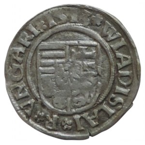 Vladislav of Jagiellon 1471-1516, denarius 1513 KG