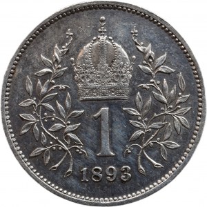 1 Cor. 1893 b.s.