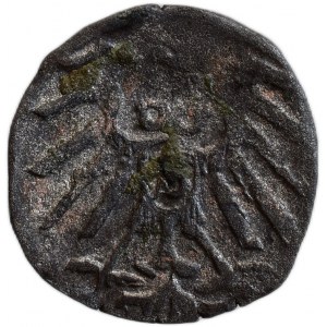 Brandenburg-Preussen, Albrecht 1525-1569, denár 1553 ?