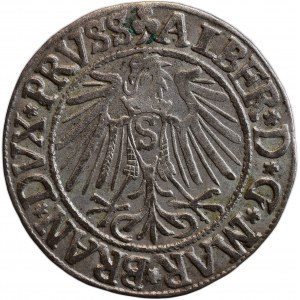 Prusko, Albrecht Braniborský 1525-1569, groš 1542 S Königsberg