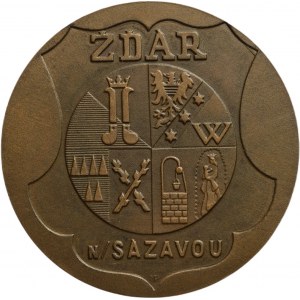 Hampl, Zdar nad Sazavou, 40 years old, bronze 60mm