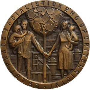 Hvozdenský, Water Construction 1975, 59mm, Czech State Savings Bank, 70 mm