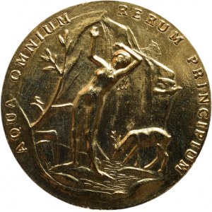 Kovanič V.A., V.Priessnitz, zlac.lesklý povrch, 40mm