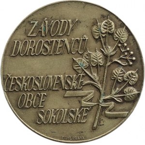 Kulhanek J., Competition of juniors of Sokol village, 30mm