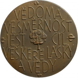 Pospíšilová-Linhartová, František Matouš Klácel 1808-1882, bronz, 60mm, patina
