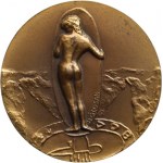 Šlosar, Opava - sjezd numismatiků 1960, Br., 31mm, IX num.dny Opava, 30mm, VII. Numismatické dny Příbor, Br. 31mm