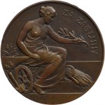 District Exhibition in Stankova 1925 - For Merit, bronze 52mm