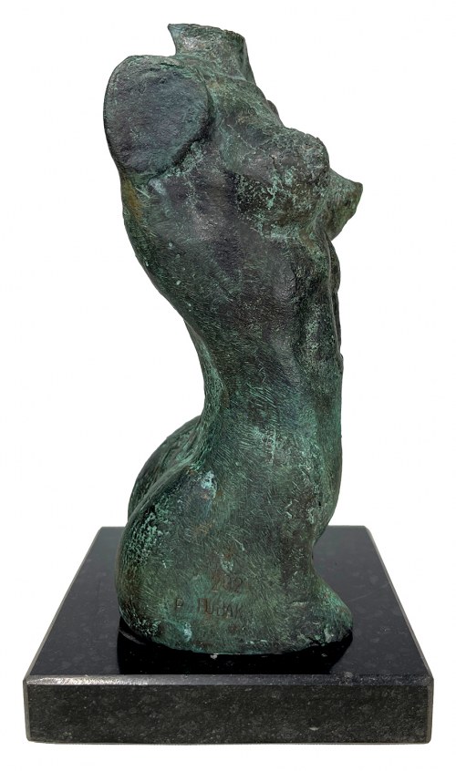 Piotr BUBAK (ur. 1959), Idealizacja 2, 2023