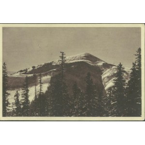 1 KARPATY WSCHODNIE - Gorgany Wschodnie i Choniak 1544 m., Fot. Zen. Pręgowski, druk sepia, ok. 1935