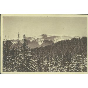 1 KARPATY WSCHODNIE - Gorgany Wschodnie: Syniak 1664 m., Fot. Zen. Pręgowski, druk sepia, ok. 1935