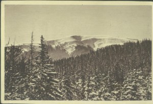 1 EASTERN CARPATES - Eastern Gorgans: Syniak 1664 m., Photo: Zen. Pręgowski, sepia print, ca. 1935