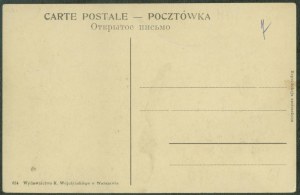 23 WARSAW - Wierzbowa Street, 634 Publisher K. Wojutyński, Warsaw, św. sepia, pkol., ca. 1910,