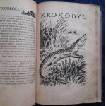 Dygasiński A.Wielkie łowy
