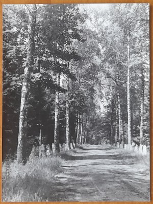 Olsztyn.Sanatorium Gruźlicze (today on Jagiellońska street)-park.