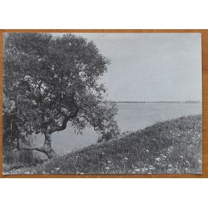 Jezioro Śniardwy