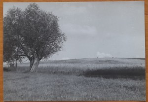The surroundings of the Dejguny lake
