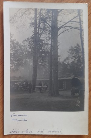 Zurawica fragment of the camp.