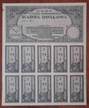 Warsaw.Fuel card for the year 1917/18