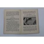 Zachodnia Ukraina pod polskim jarzmem, 1931 - ukraińska propaganda antypolska