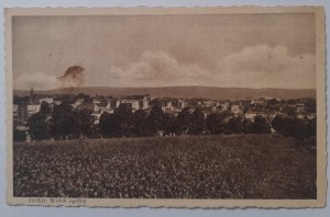 Jaslo.General view