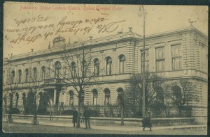 1 PABIANICE - Theodore Ender's Palace, Publisher B. Lichtenstein, Pabianice, St., czb., ca. 1910