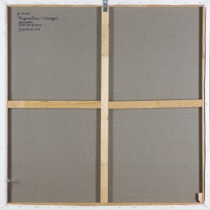 Sławomir Cwalina, ORGANELLUM 1 (IMAGOS), 2011