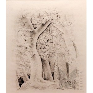 Mojżesz KISLING (1891-1953), Las w Prowansji, 1954