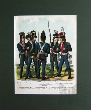 Michał STACHOWICZ (1768-1825), Wojsko Polskie Kościuszki, 1894