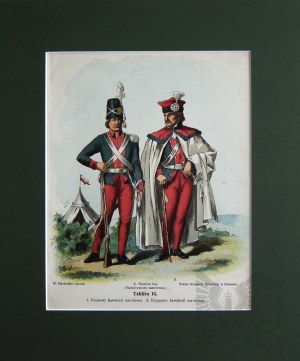 Michał STACHOWICZ (1768-1825), Wojsko Polskie Kościuszki, 1894