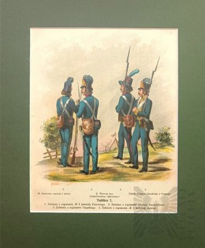 Michał STACHOWICZ (1768-1825), Wojsko Polskie Kościuszki, 1894