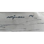 Mieczysław Wejman (1912-1997), Widok z sanatorium na Zakopane, 1954