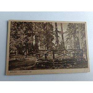 POSTCARD BIELSKO, GYPSY FOREST