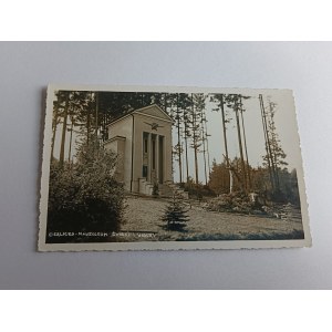 FOTO DEL MAUSOLEO CIERLICKO DI ŻWIRKI I WIGURY