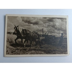 POSTCARD HARVEST IN MAZURIA, HORSES, VILLAGE, AGRICULTURE, MAZURIA