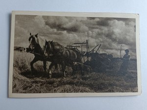 POSTCARD HARVEST IN MAZURIA, HORSES, VILLAGE, AGRICULTURE, MAZURIA