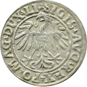 Sigismund II Augustus, half-penny 1547 LITVA/LI, Vilnius