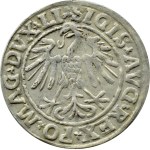 Sigismund II Augustus, half-penny 1547 LITVA/LI, Vilnius