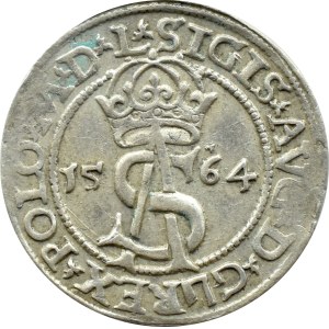 Zygmunt II August, trojak 1564 L/L, Wilno