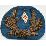RP/PRL, patch with the letter P