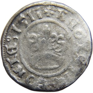 Sigismund I the Old, crown half-penny 1511, Cracow