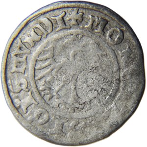 Sigismund I the Old, crown half-penny 1511, Cracow